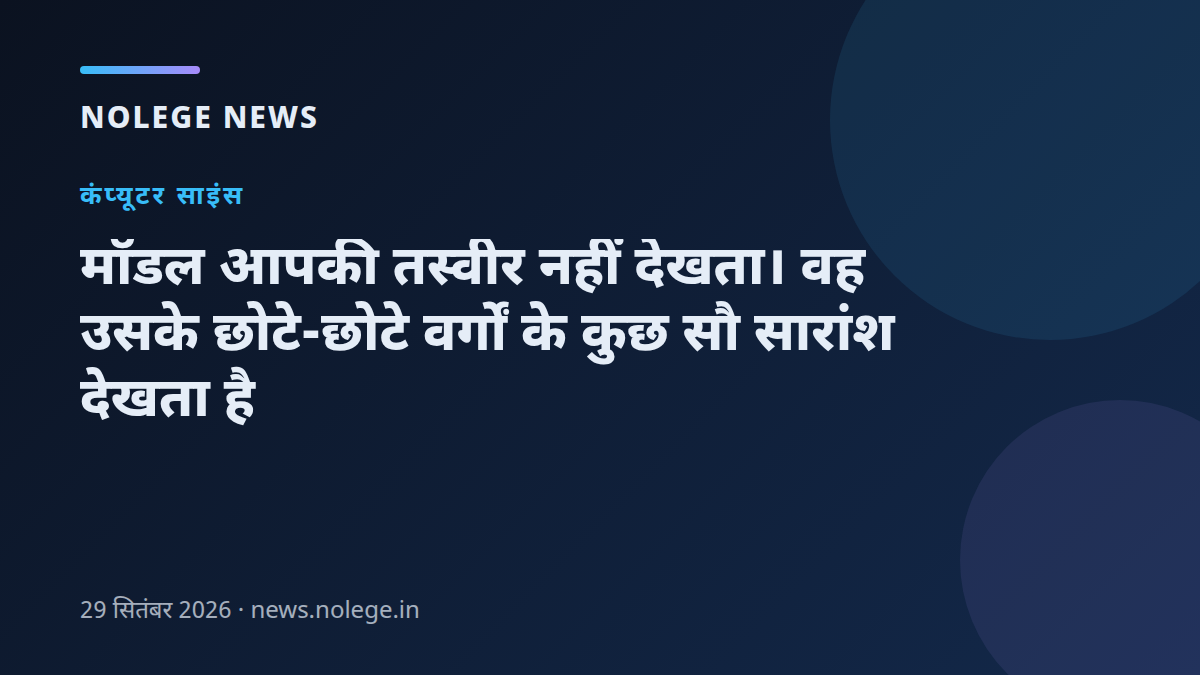 मॉडल आपकी तस्वीर नहीं देखता। वह उसके छोटे-छोटे वर्गों के कुछ सौ सारांश देखता है