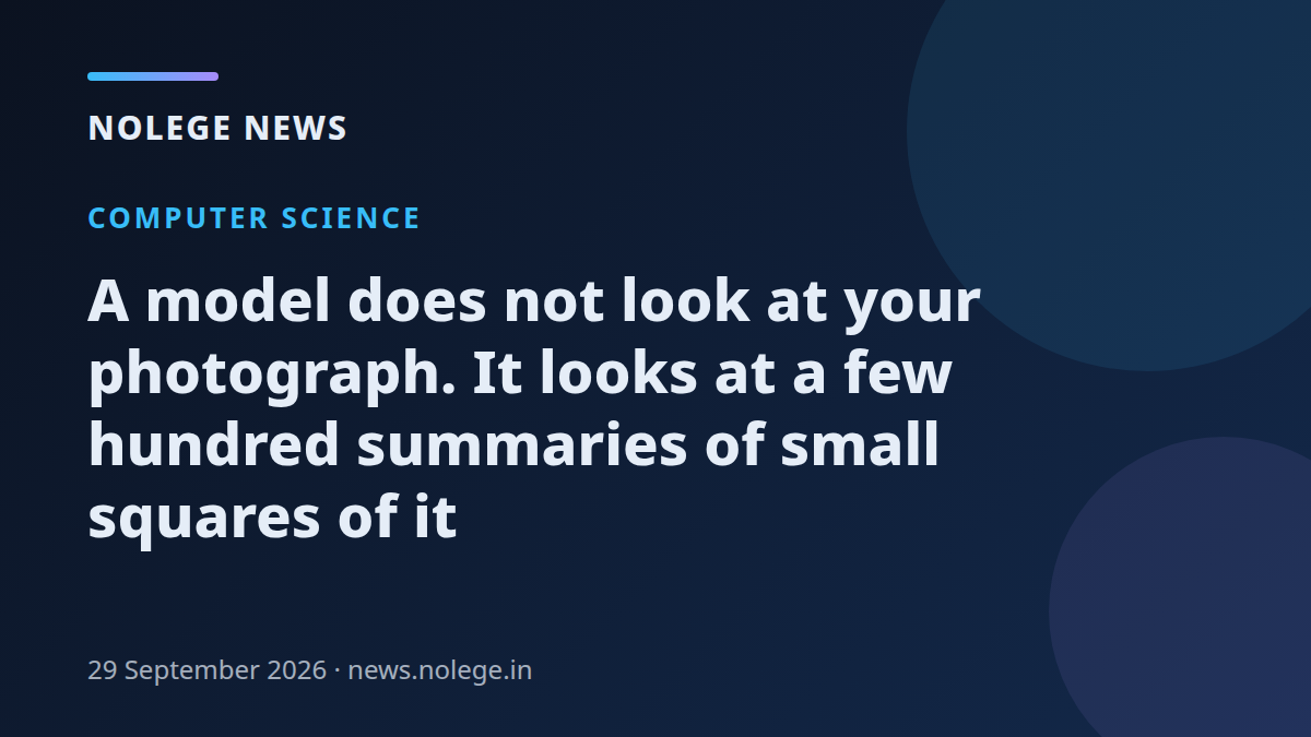 A model does not look at your photograph. It looks at a few hundred summaries of small squares of it