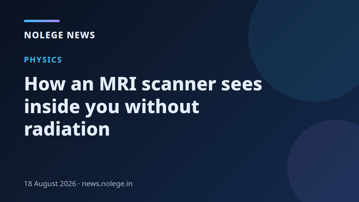 How an MRI scanner sees inside you without radiation
