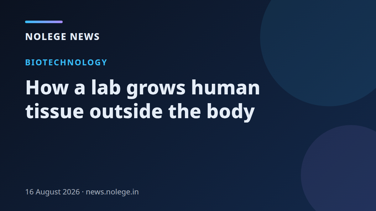 How a lab grows human tissue outside the body