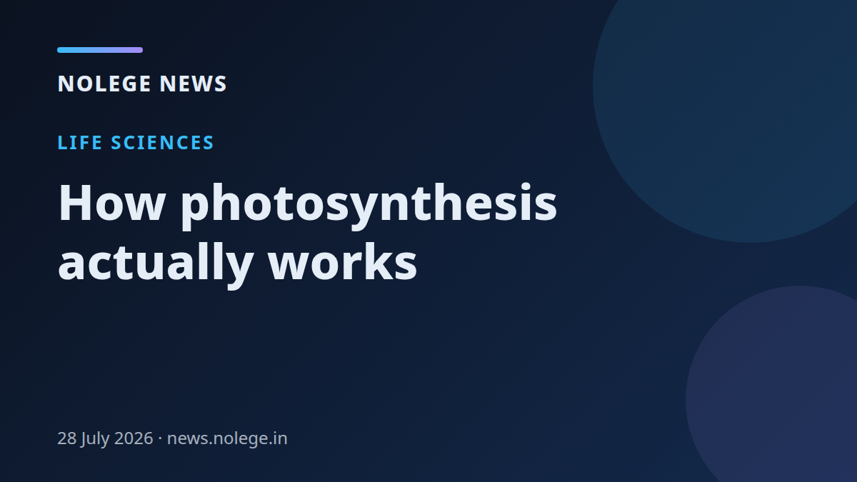 How photosynthesis actually works