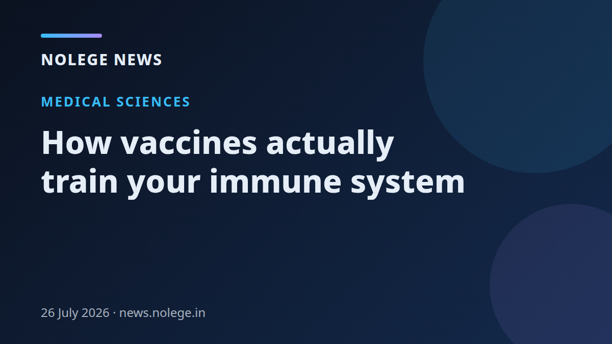 How vaccines actually train your immune system
