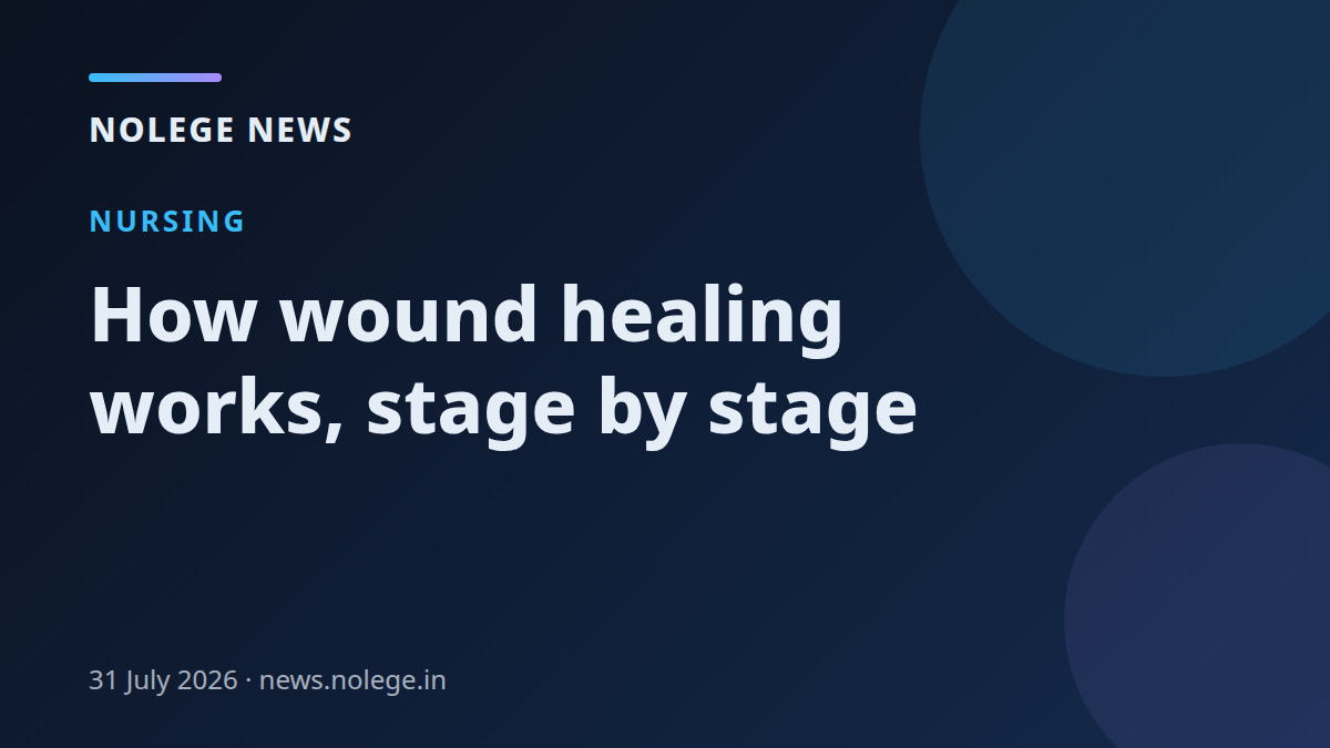 How wound healing works, stage by stage