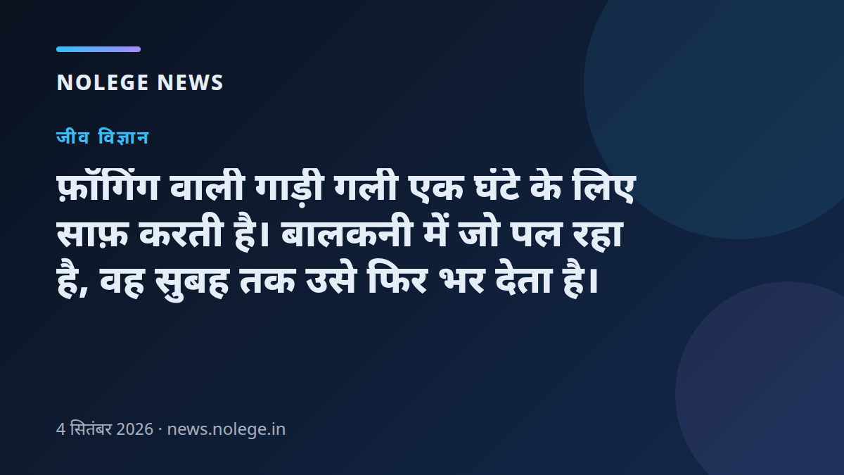 फ़ॉगिंग वाली गाड़ी गली एक घंटे के लिए साफ़ करती है। बालकनी में जो पल रहा है, वह सुबह तक उसे फिर भर देता है।