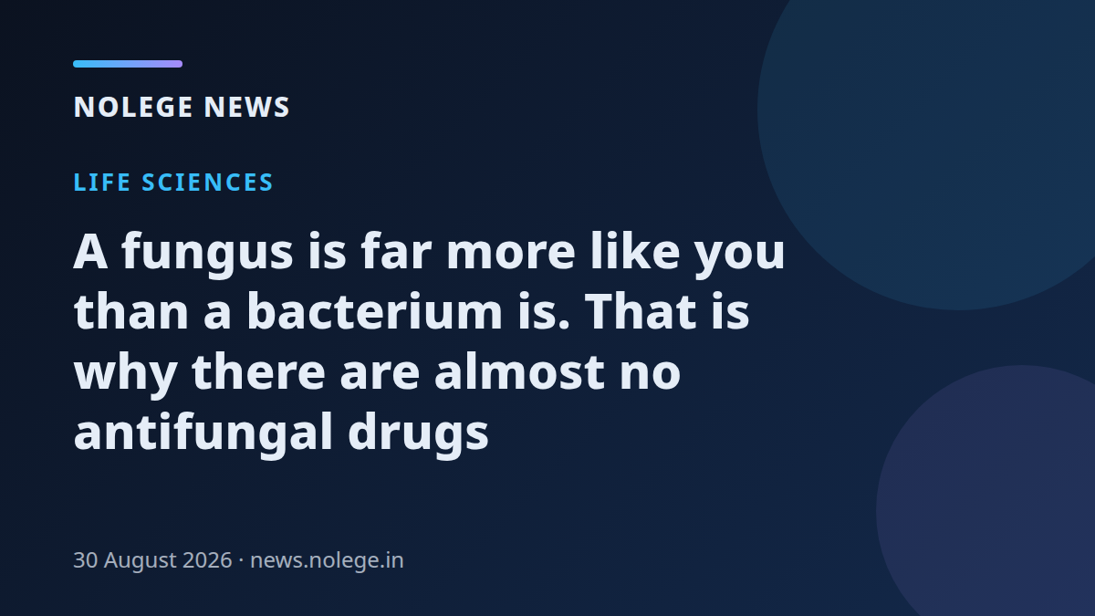 A fungus is far more like you than a bacterium is. That is why there are almost no antifungal drugs